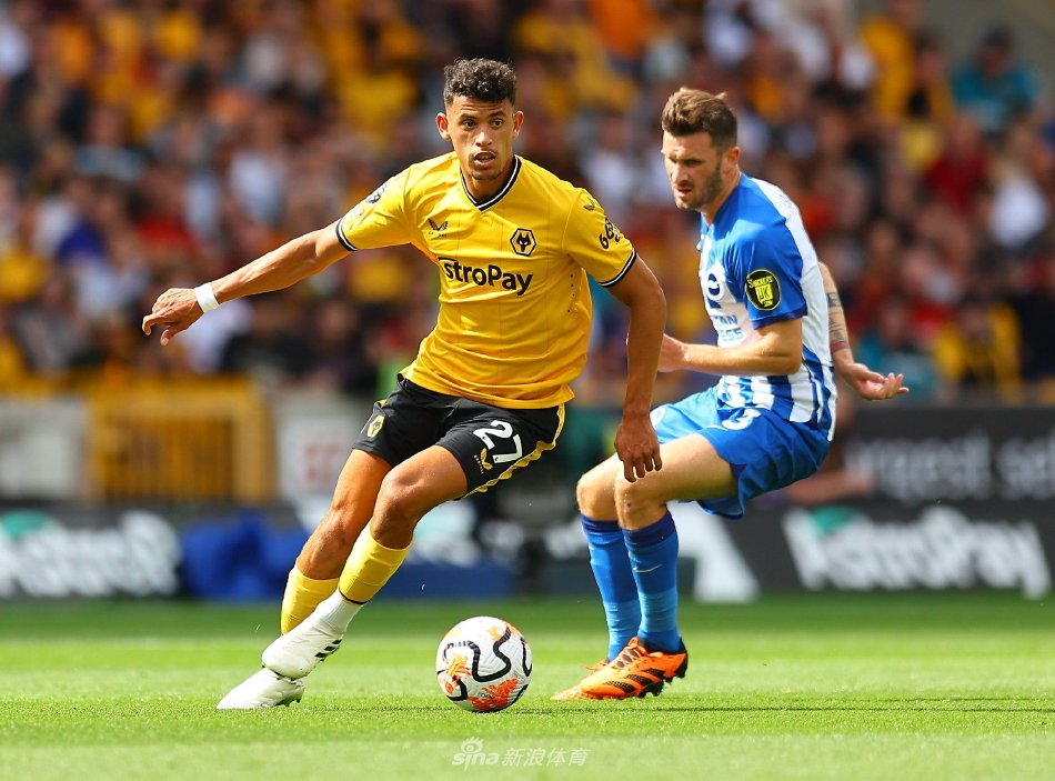 家的普遍关 家的普遍关